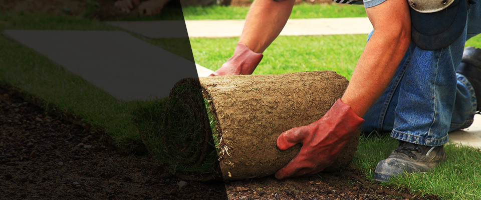 Stanchfield Landscapers